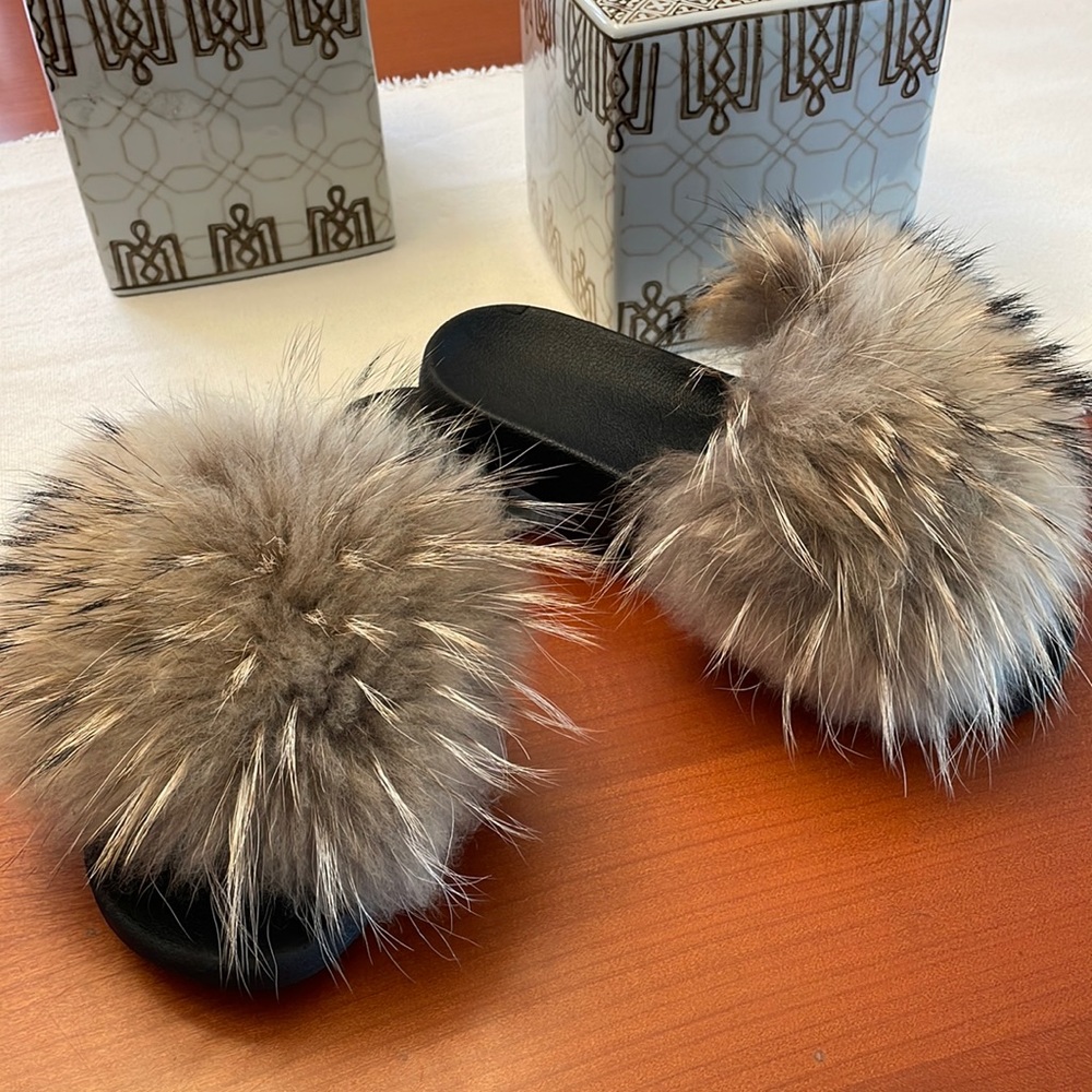 Fox Slides